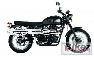 2010 Triumph Scrambler photo